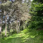 アパート Avec Entree Independante Sur Un Domaine De 9ha Avec Vue Vollore-Ville