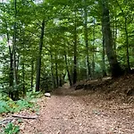 アパート Avec Entree Independante Sur Un Domaine De 9ha Avec Vue Vollore-Ville