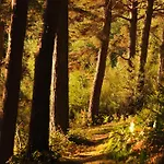 Avec Entree Independante Sur Un Domaine De 9ha Avec Vue *