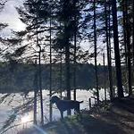Avec Entree Independante Sur Un Domaine De 9ha Avec Vue アパート Vollore-Ville