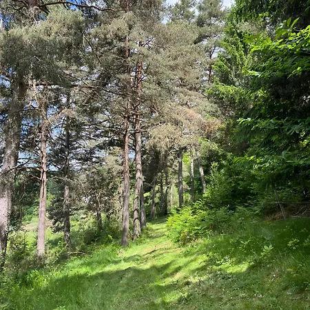 דירה Avec Entree Independante Sur Un Domaine De 9ha Avec Vue Vollore-Ville