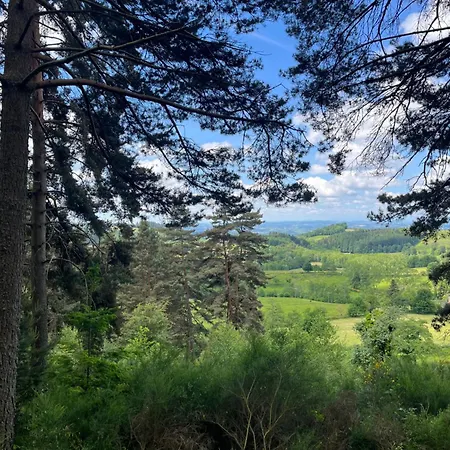 La Foret Suspendue - Nature Sur 9ha - Acces Avec Vue Panoramique Vollore-Ville