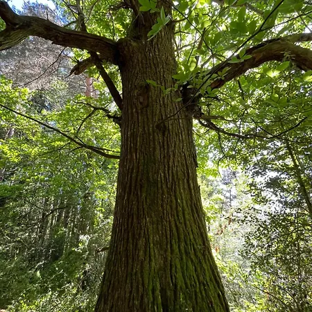 Avec Entree Independante Sur Un Domaine De 9ha Avec Vue Vollore-Ville