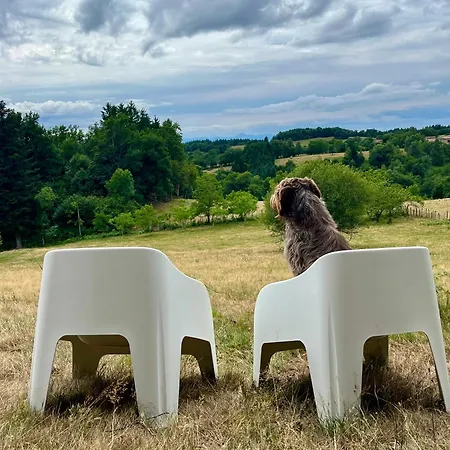 Avec Entree Independante Sur Un Domaine De 9ha Avec Vue * Vollore-Ville