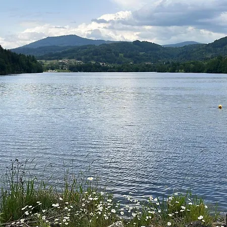 Avec Entree Independante Sur Un Domaine De 9ha Avec Vue Vollore-Ville