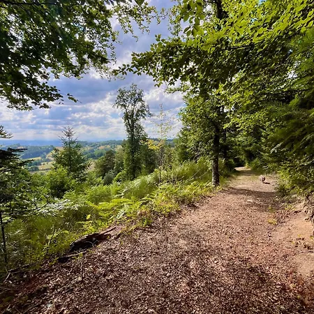 Avec Entree Independante Sur Un Domaine De 9ha Avec Vue Apartament *