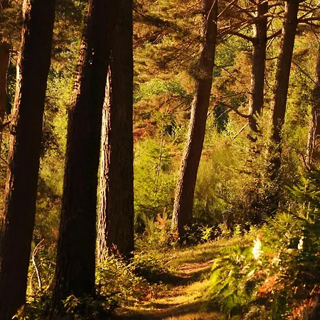 Avec Entree Independante Sur Un Domaine De 9ha Avec Vue *