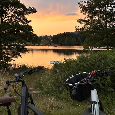 Avec Entrée Indépendante Sur Un Domaine De 9ha Avec Vue Vollore-Ville