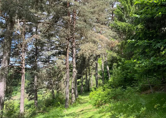 דירה Avec Entree Independante Sur Un Domaine De 9ha Avec Vue Vollore-Ville