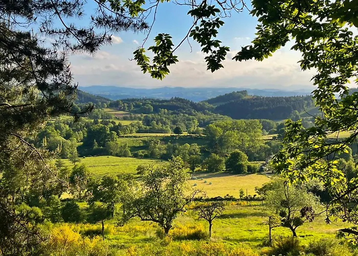 דירה Avec Entree Independante Sur Un Domaine De 9ha Avec Vue