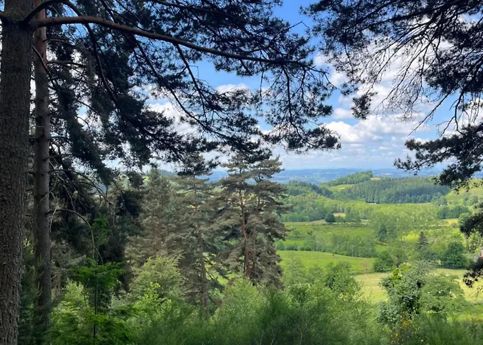 Avec Entree Independante Sur Un Domaine De 9ha Avec Vue Vollore-Ville