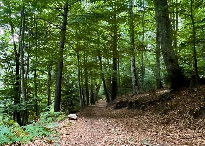 דירה Avec Entree Independante Sur Un Domaine De 9ha Avec Vue Vollore-Ville